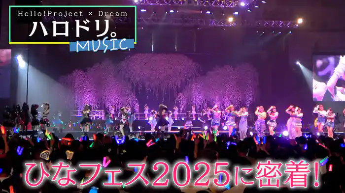 春恒例！ひなフェス2025に密着＆ライブパフォーマンス
