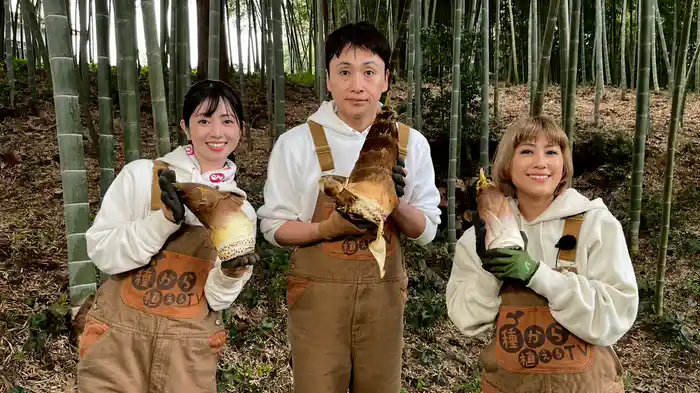 第159回 タケノコのこと トコトンシットコ!