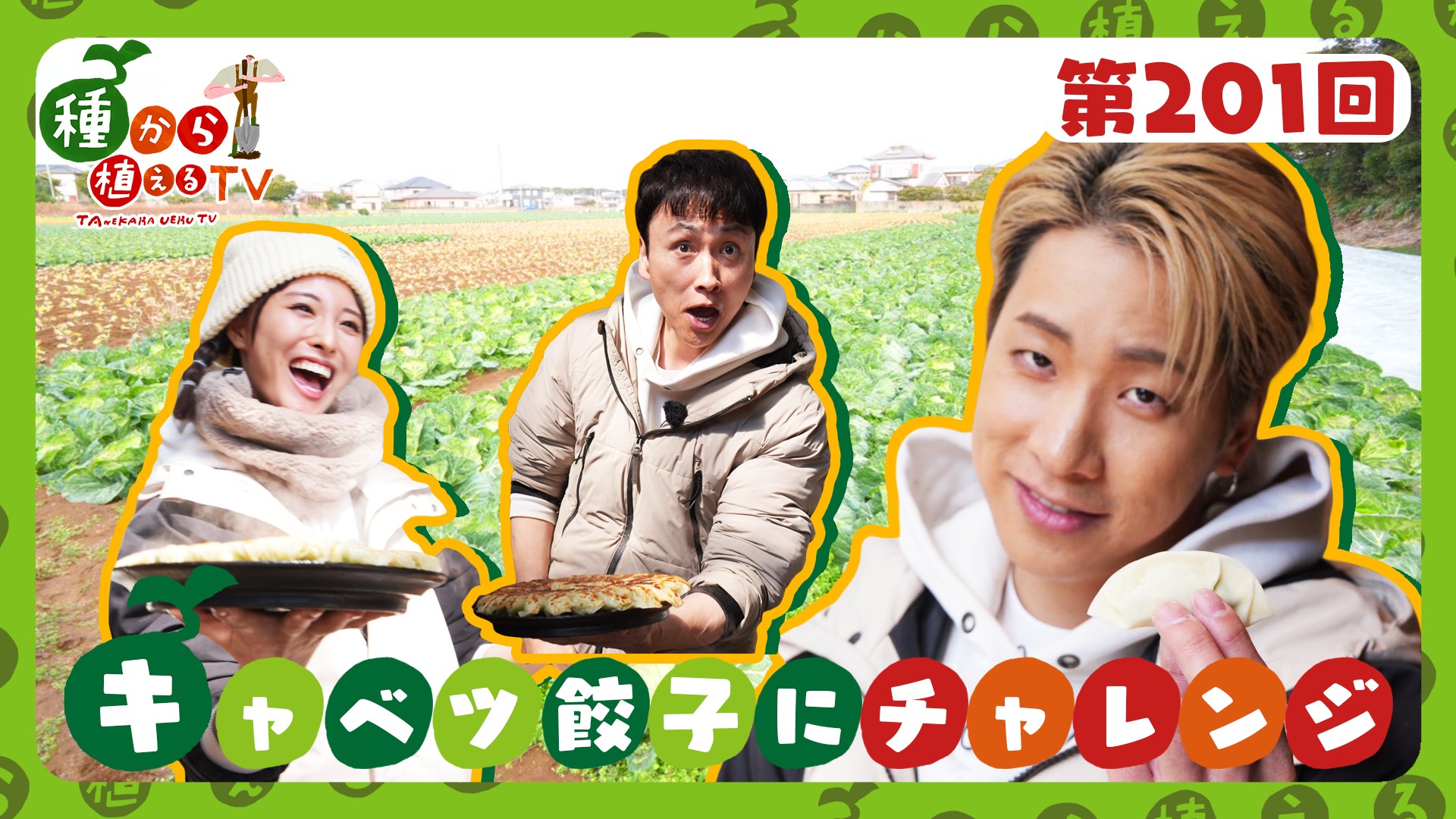 第201回 THE RAMPAGE陣＆大友花恋 キャベツ畑で大収穫＆キャベツたっぷり餃子
