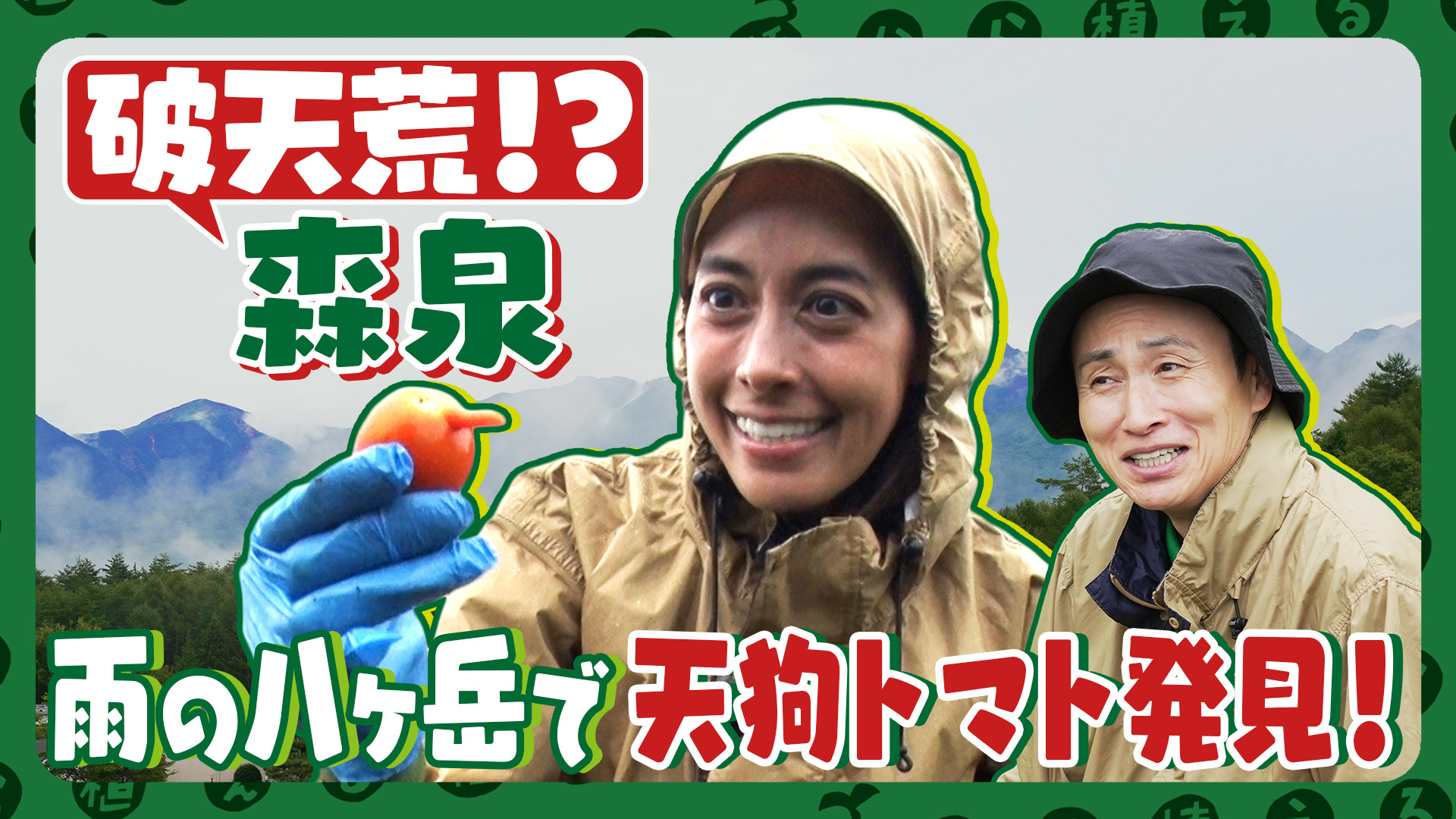 第228回 破天荒すぎる!? 森泉と雨の八ヶ岳でトマト収穫＆コスモス撤去