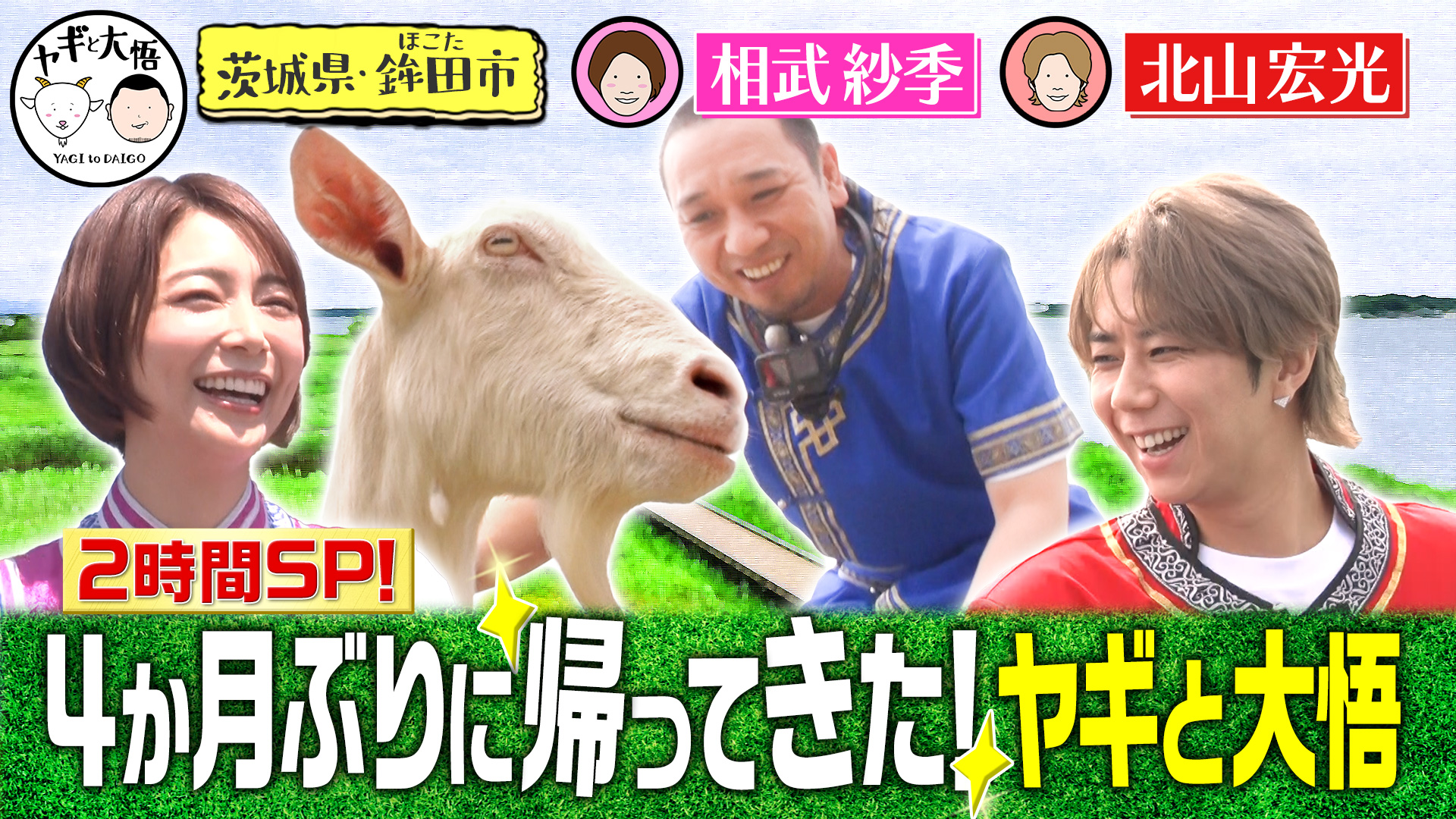 特番で復活！相武紗季＆北山宏光と雑草モグモグ旅