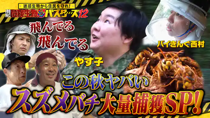この秋ヤバい猛毒スズメバチVS凄腕達人(秘)駆除