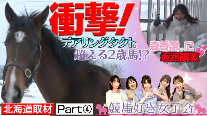 POG必見どこよりも早い！走る2歳馬！森アナ坂路で悶絶？【北海道牧場めぐり PART(4)】