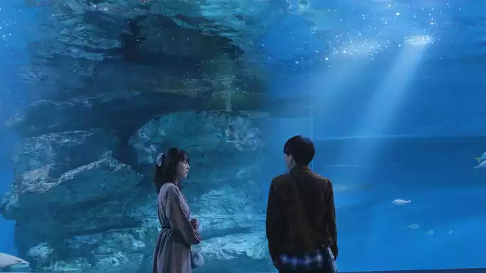 水族館で初めてのドーン！3色缶詰開栓丼