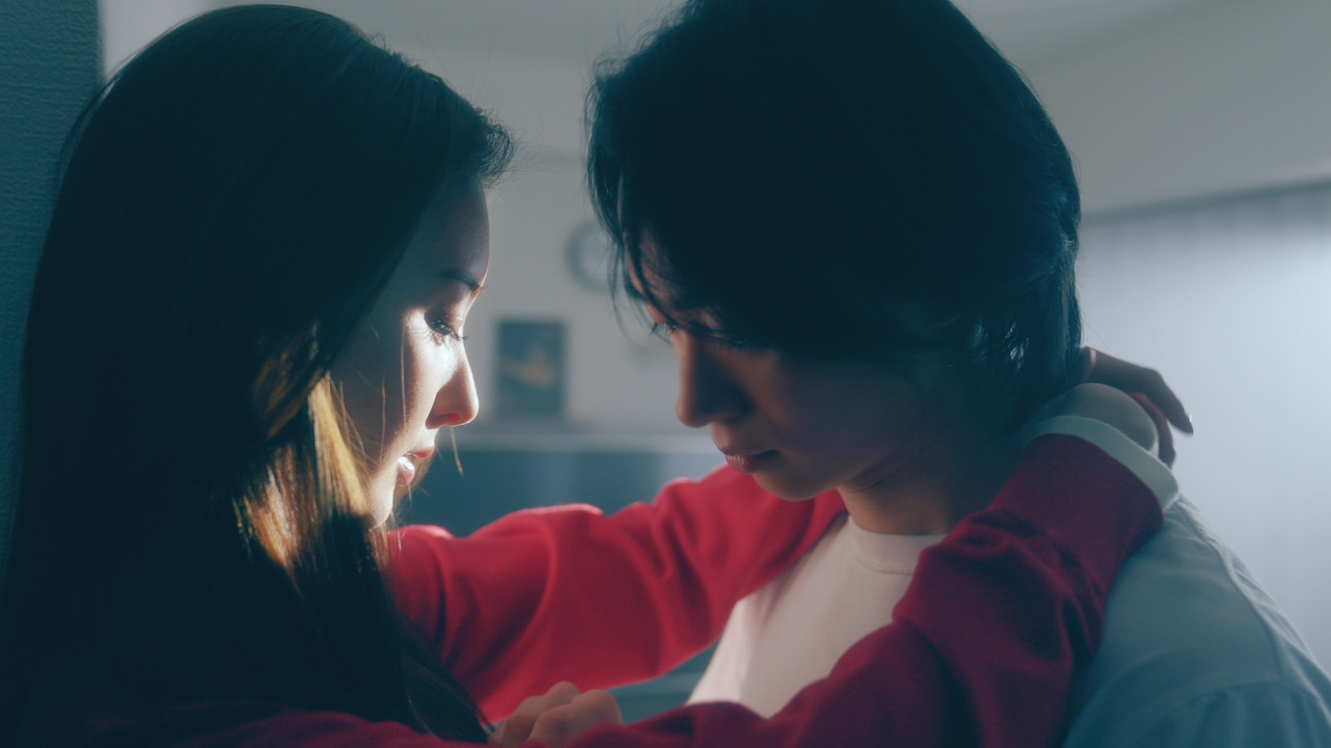 堕ちていくサレ妻