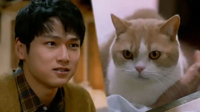 「宇都宮・猫がつないだ町中華」