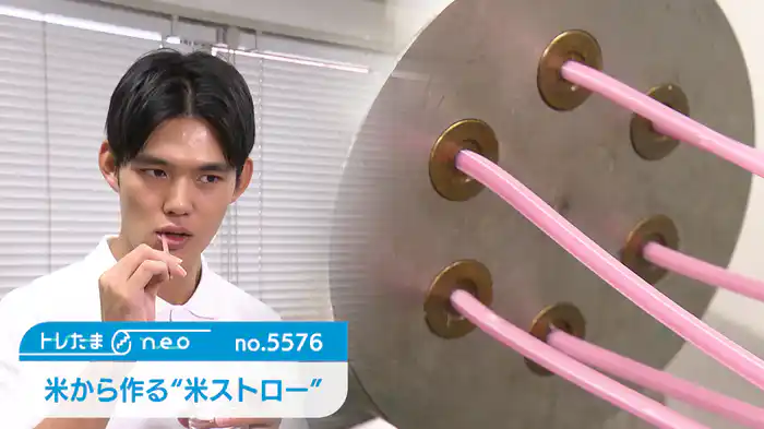 食べられる!?米ストロー【トレたまneo】（2024.10.17）