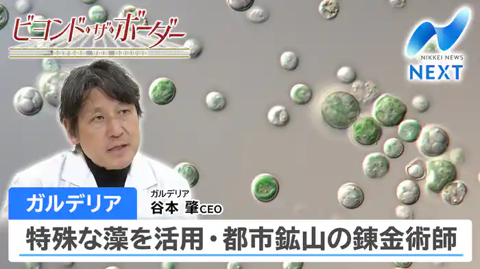 ガルデリア 特殊な藻を活用・都市鉱山の錬金術師(2026.04.01)