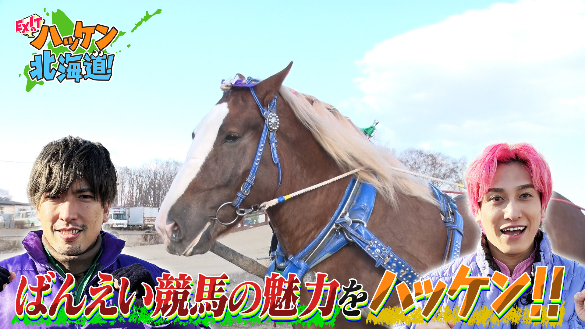 EXITが帯広・ばんえい競馬の知られざる裏側に迫る！