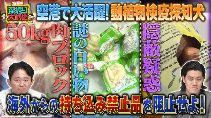 北関東vs孤独グルメ＆国際空港で捜索“検疫探知犬密着”SP