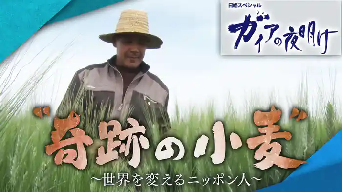 “奇跡の小麦” ~世界を変える日本人~