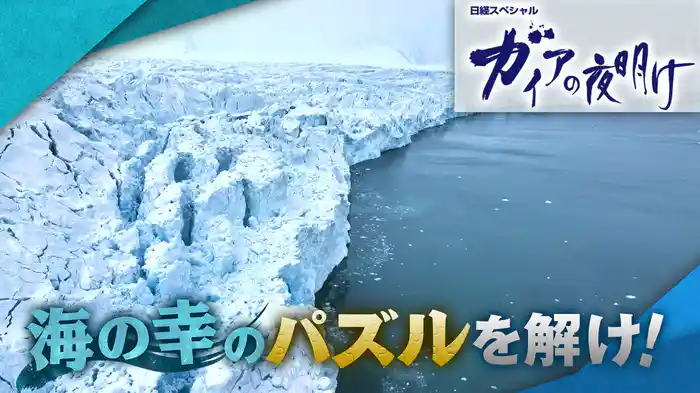 海の幸のパズルを解け!