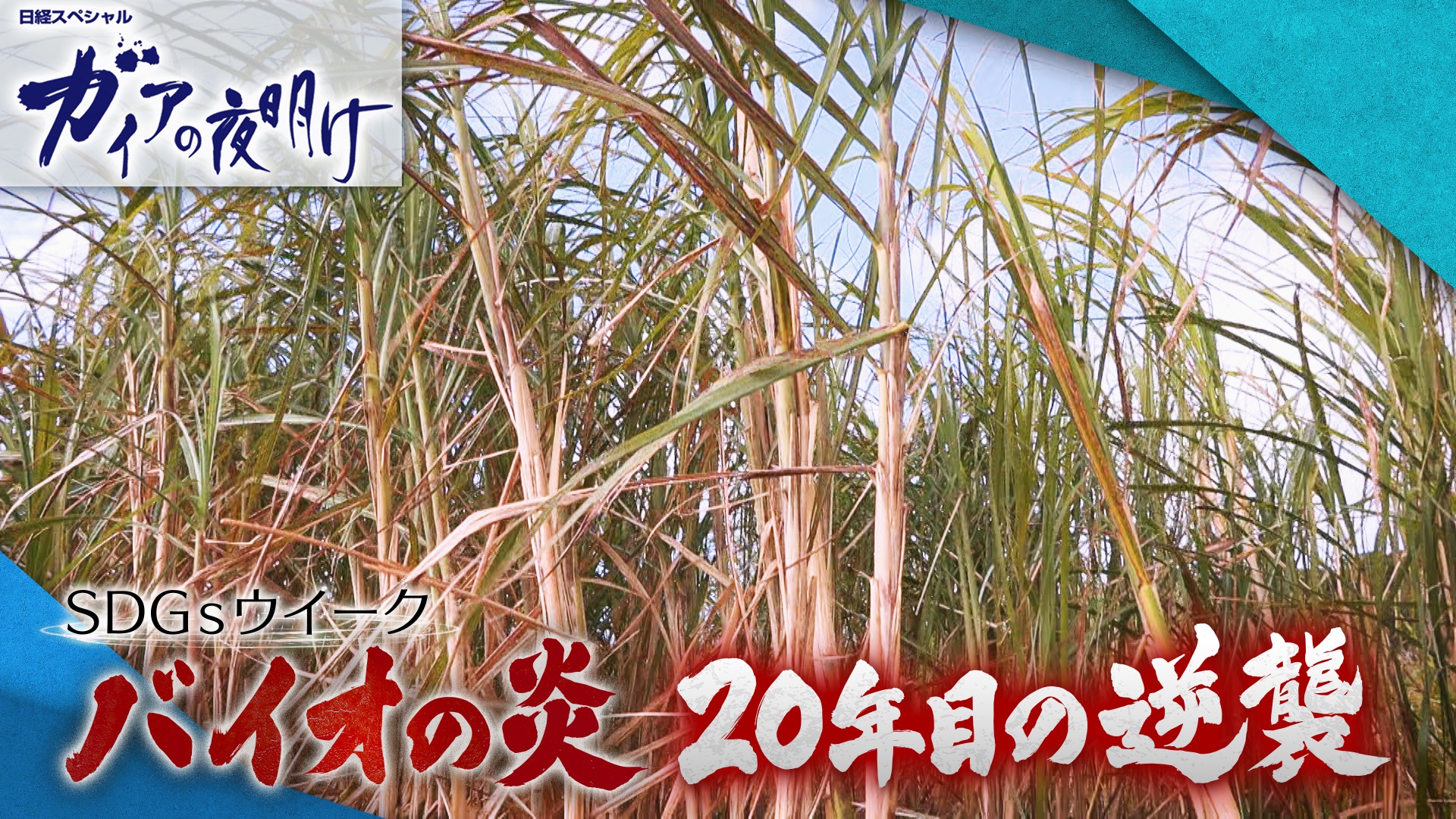 SDGsウイーク　「バイオの炎　20年目の逆襲」