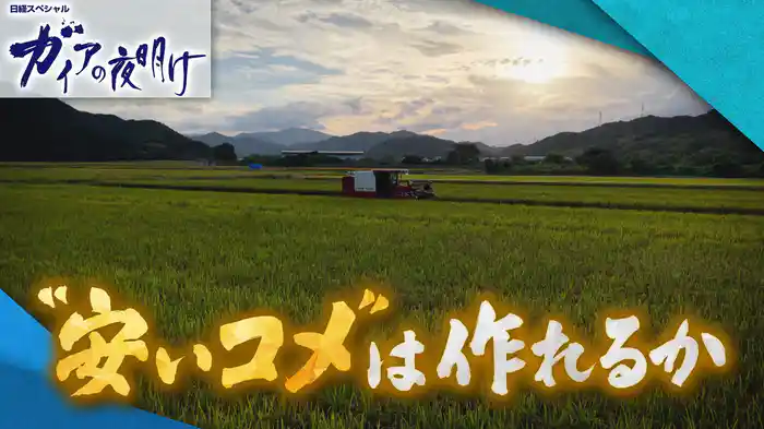 “安いコメ”は作れるか
