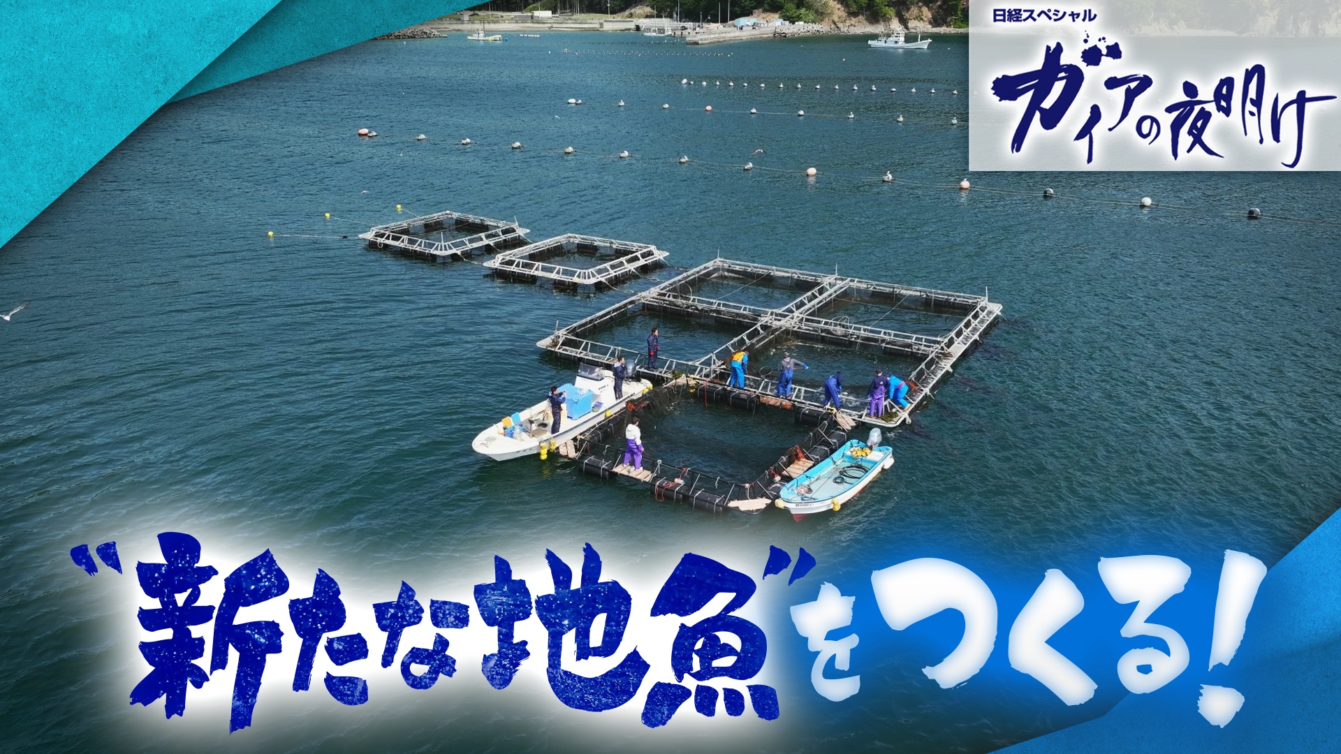 “新しい地魚”をつくる！
