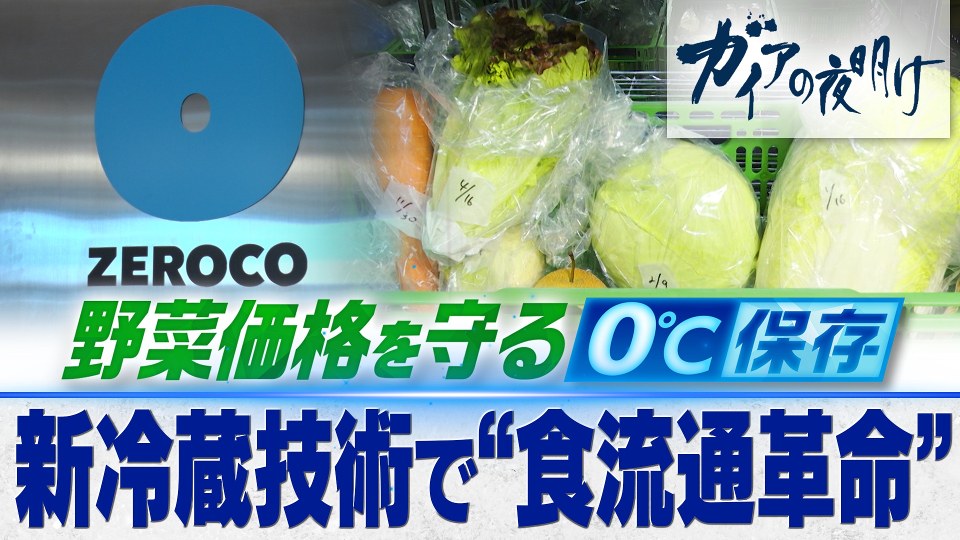 新冷蔵技術で“食流通革命”…野菜価格を守る0℃保存