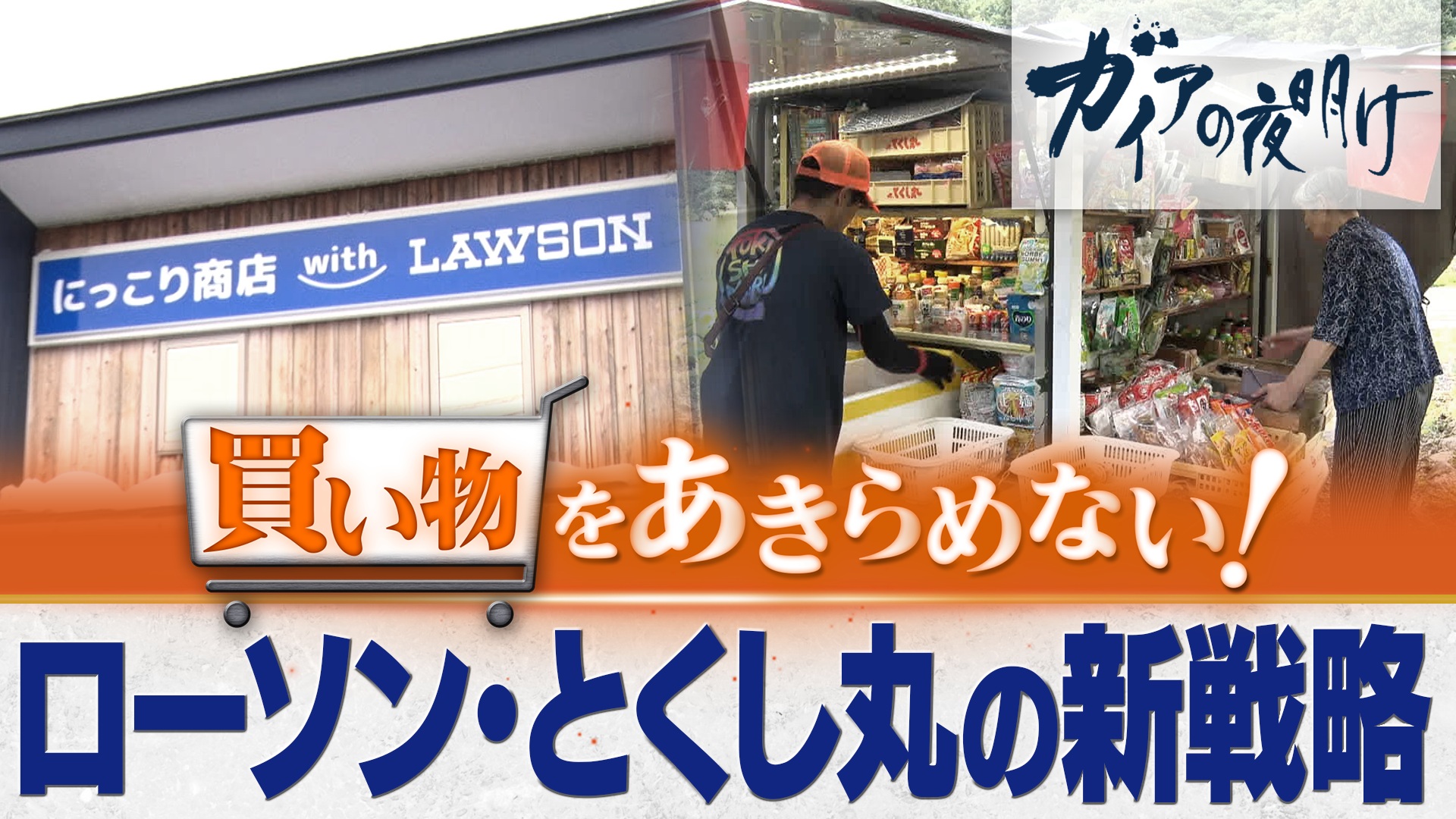 買い物をあきらめない！ ～弱者を守る、小売り新戦略～