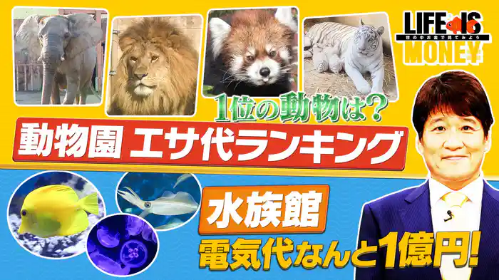 動物園のエサ代ランキング/物価高騰のあおりを受けて…動物園の涙ぐましい努力に密着！