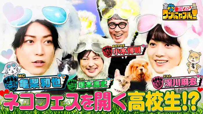 MC：亀梨和也！激かわ9匹！チャウチャウ大家族＆猫450匹保護・高校生