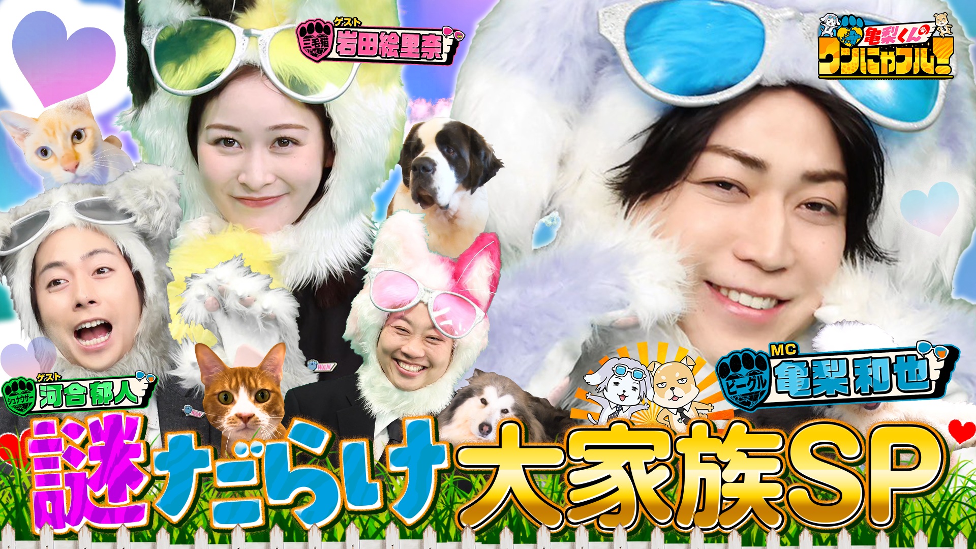MC：亀梨和也！猫嫌い保護猫シン…涙の譲渡＆モップ大型犬＆壁挟まれ猫救出