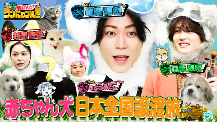 MC:亀梨和也!日本全国赤ちゃん犬譲渡旅&なぜ秘島で猫保護?ドクター離島
