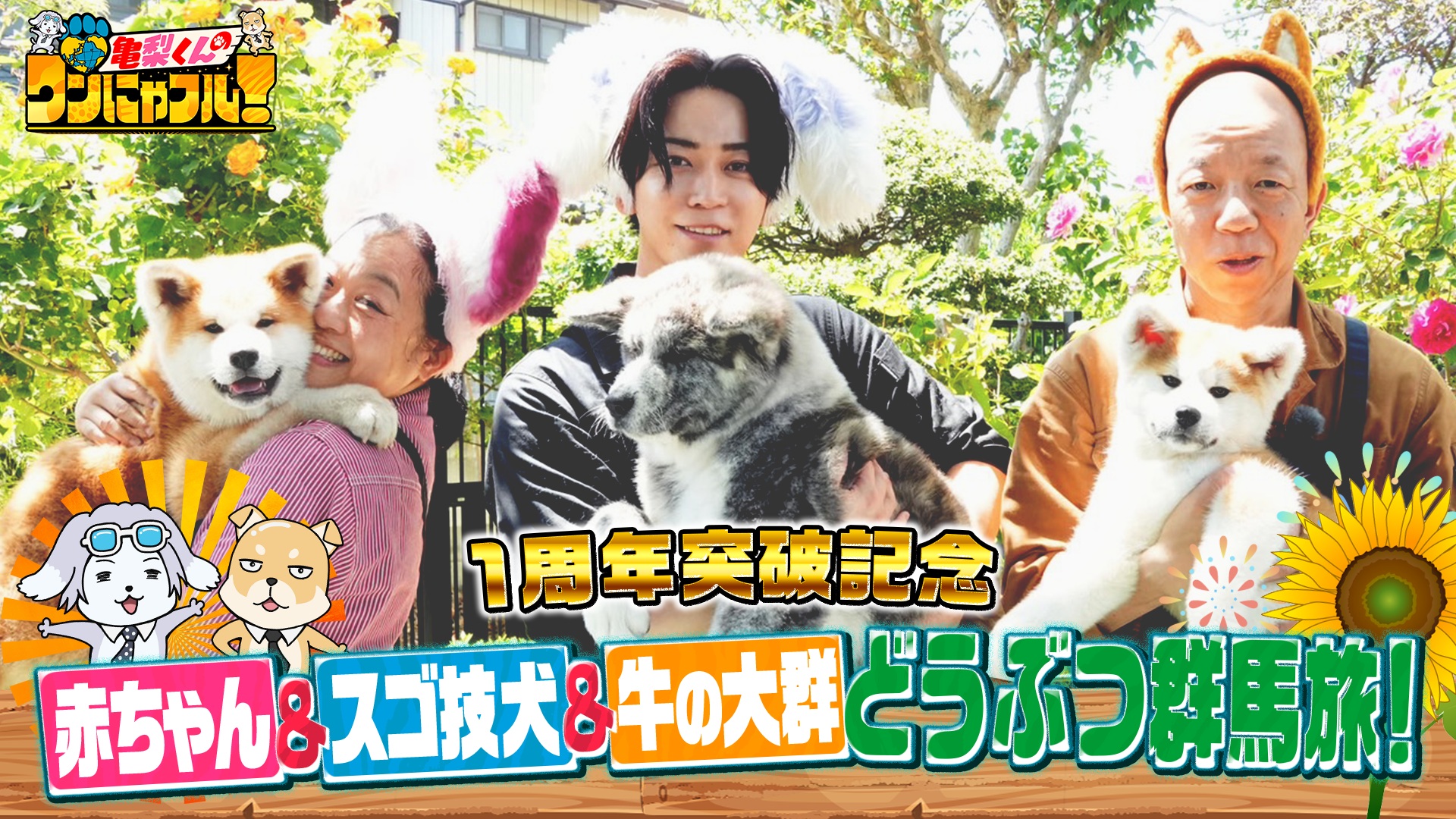 MC：亀梨和也！亀梨＆小峠＆いとうあさこ群馬動物旅SP★シャーシャー保護猫