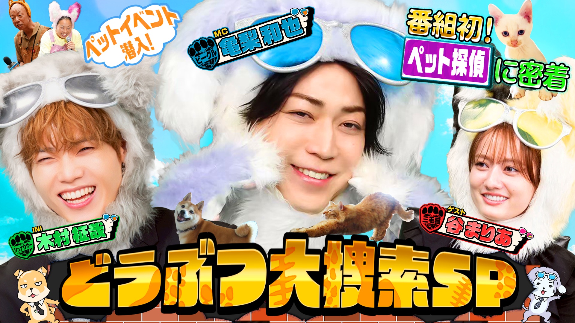 MC：亀梨和也！激かわ衝撃映像33連発＆初密着！凄腕ペット探偵の脱走ネコ大捜査