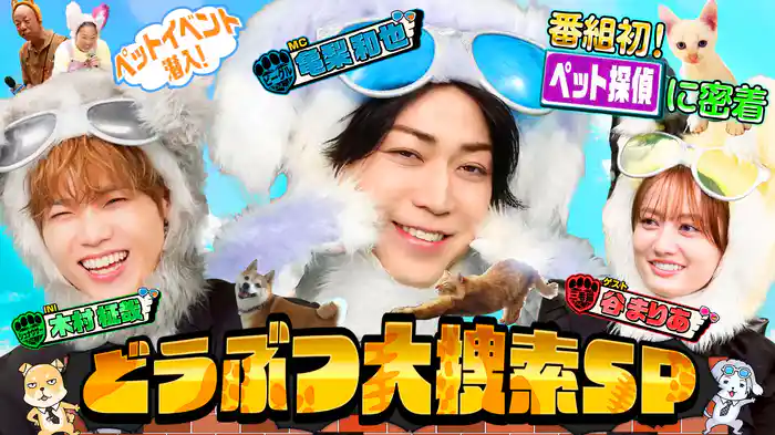 MC:亀梨和也!激かわ衝撃映像33連発&初密着!凄腕ペット探偵の脱走ネコ大捜査