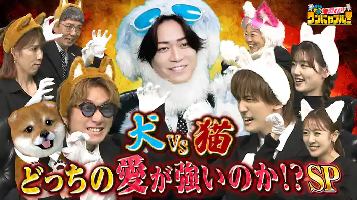 MC：亀梨和也！犬派VS猫派★“激かわ特化”衝撃映像＆135匹の猫と暮らす三姉妹
