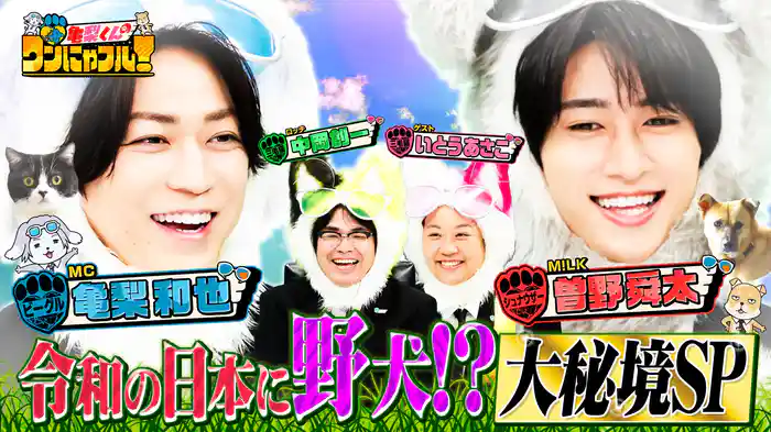 MC：亀梨和也！【令和の野犬】を救え＆70歳おばあちゃん【夢のシェパード】を飼う