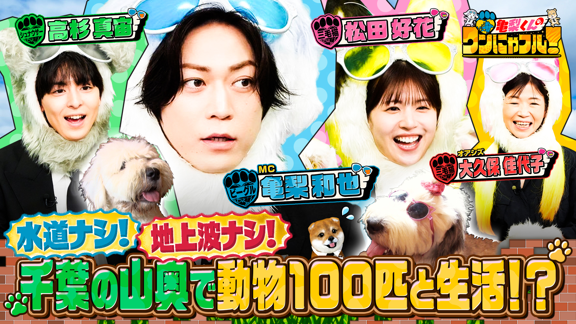 MC：亀梨和也！千葉山奥で動物達と【秘境生活】世界6大猫スポット潜入