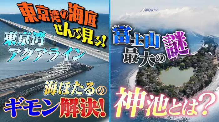 潜ってみたらスゴかった！ ニッポンの海底 全部見る！