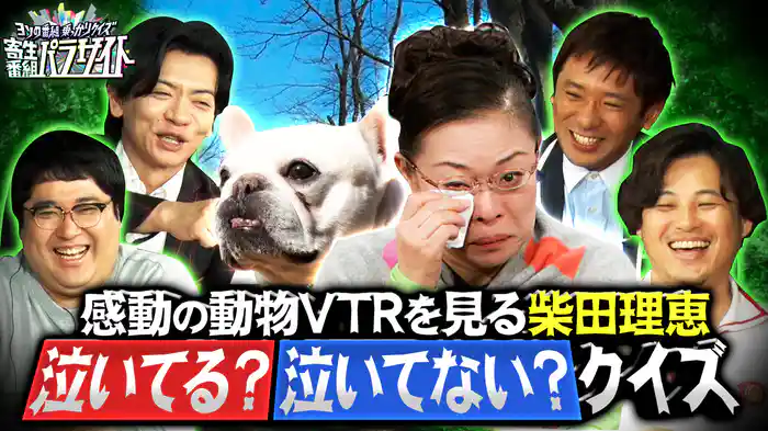 「ペット大集合！ポチたま」の感動VTR…柴田理恵は泣いてる？泣いてない？クイズ