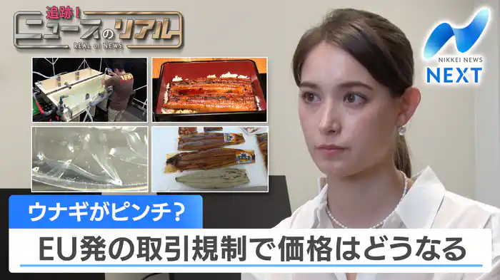 完全養殖ウナギの量産化に現実味▼米関税交渉責任者の来日で進展は？