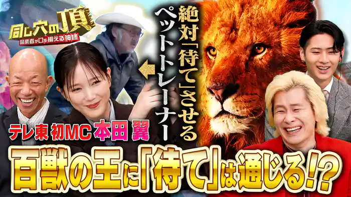 MC本田翼も仰天!?各業界の超絶神業が大集合