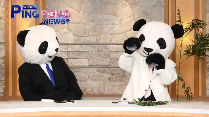 卓球界黄金世代、平野美宇、早田ひな特集