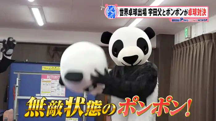 世界卓球 日本代表・宇田幸矢パパVSポンポン 卓球対決!