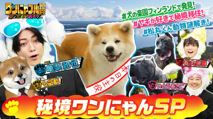 MC：亀梨和也！ワンちゃん天国フィンランド＆動物200匹田舎生活