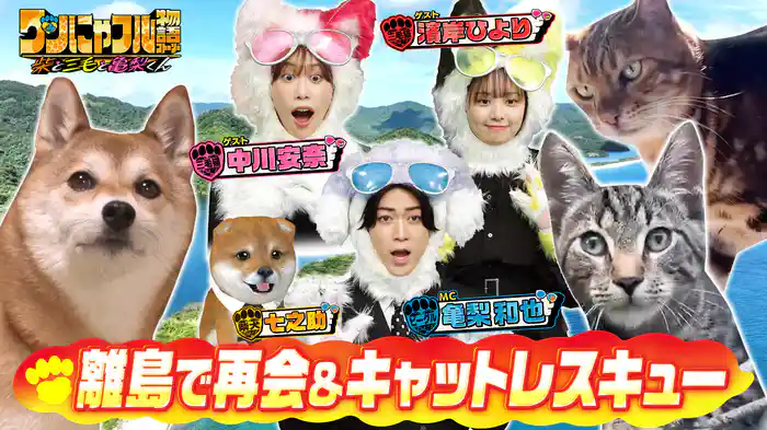 MC：亀梨和也！密着192時間！猫レスキューinアメリカ＆離島再会犬