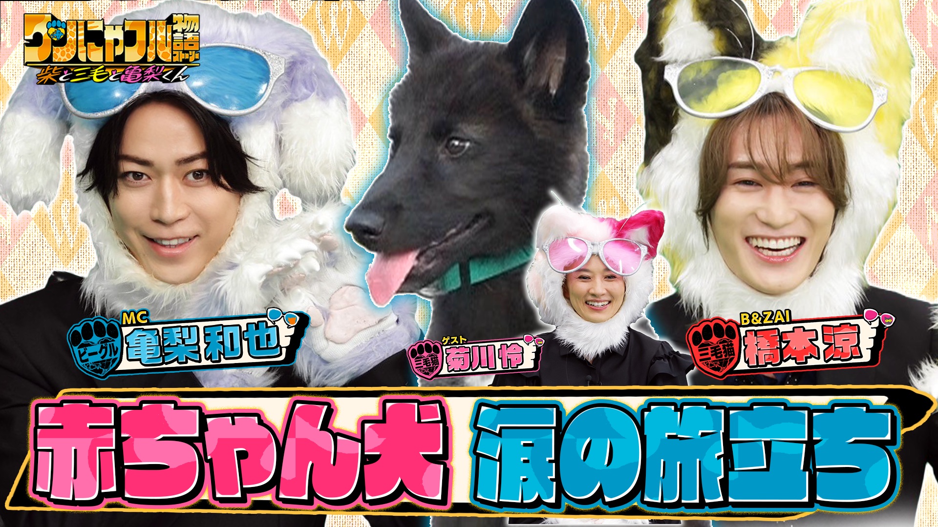 MC：亀梨和也！保護動物100匹牧場!?赤ちゃんウルフドッグの出会いと別れ
