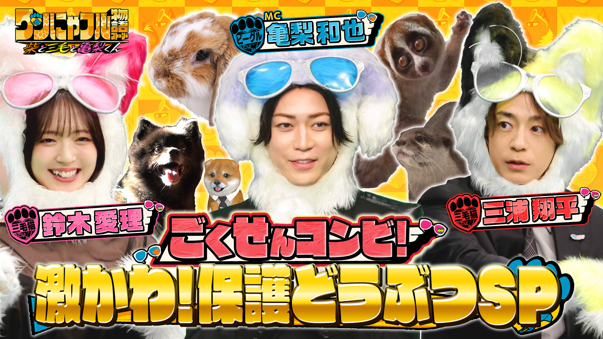 MC：亀梨和也！激かわ保護うさぎ＆離島～鎌倉再会犬＆ロバ好きの人生の楽園