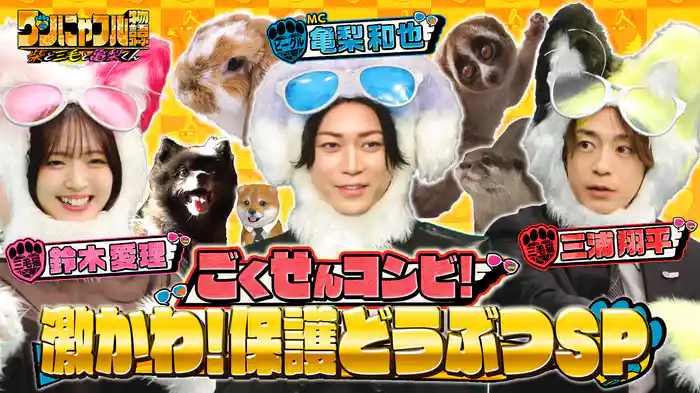 MC：亀梨和也！激かわ保護うさぎ＆離島～鎌倉再会犬＆ロバ好きの人生の楽園
