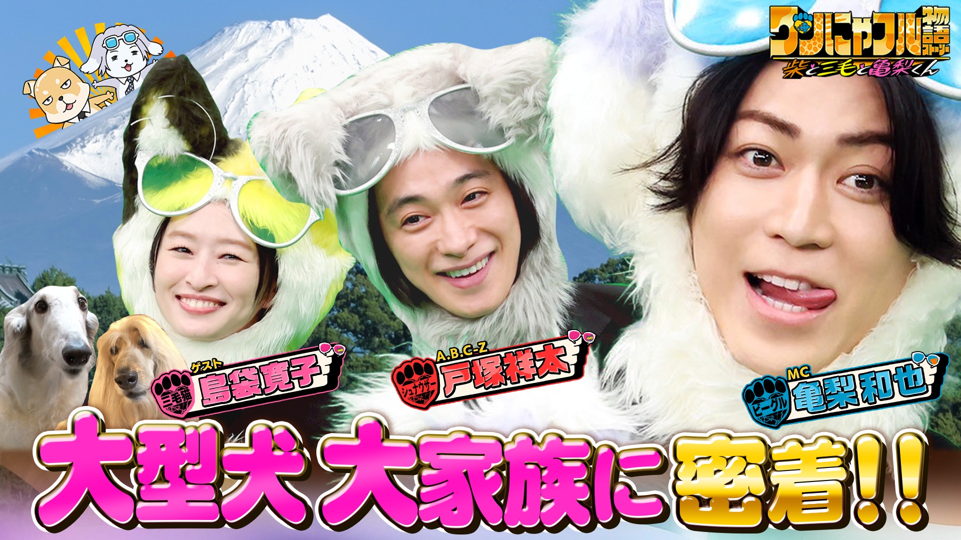 MC：亀梨和也！モフモフ大型犬5匹大家族＆保護動物のため自腹2億園長