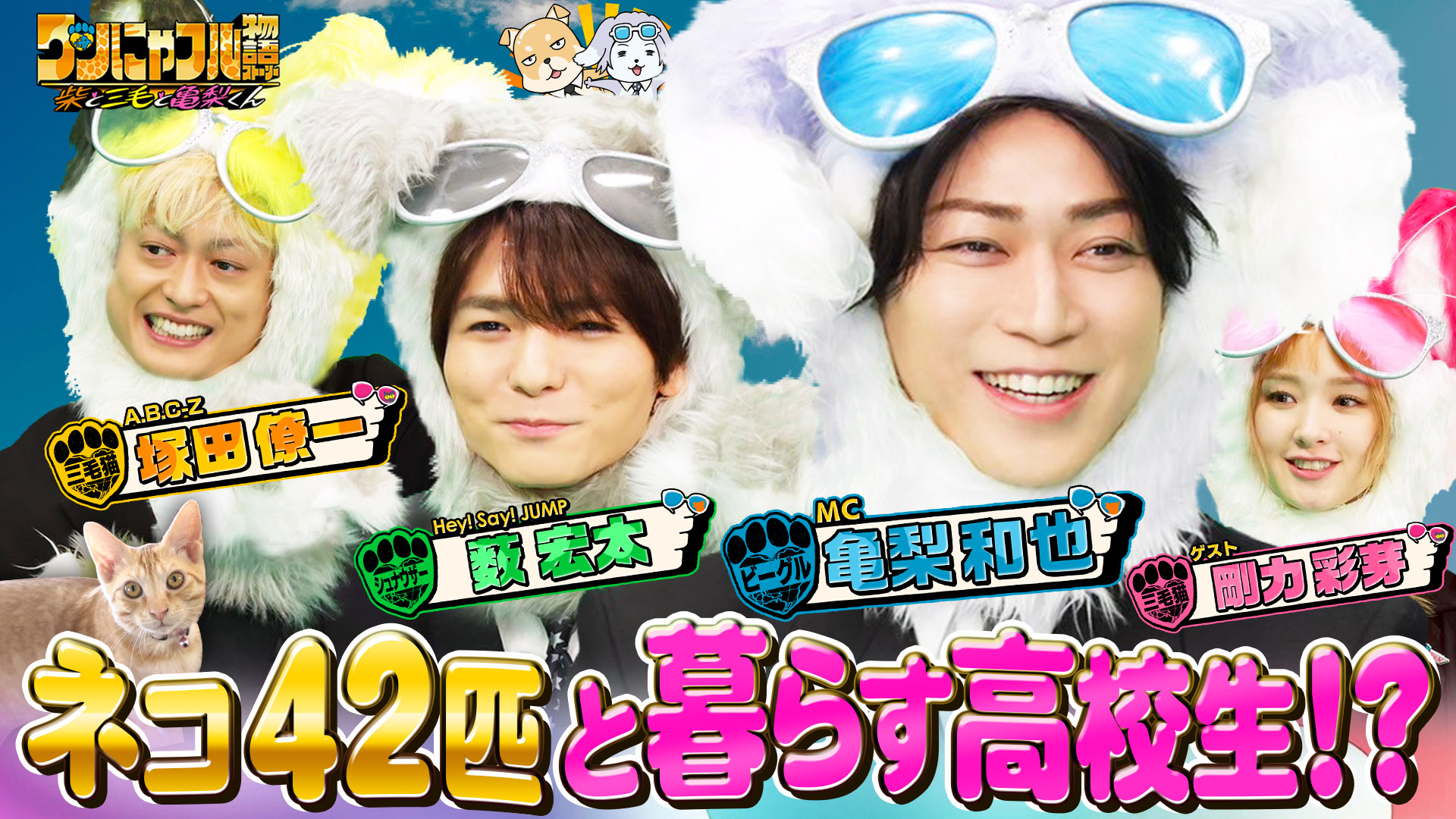 MC：亀梨和也！モフモフ大型犬祭り！7匹ピレニーズ一家＆140匹保護猫