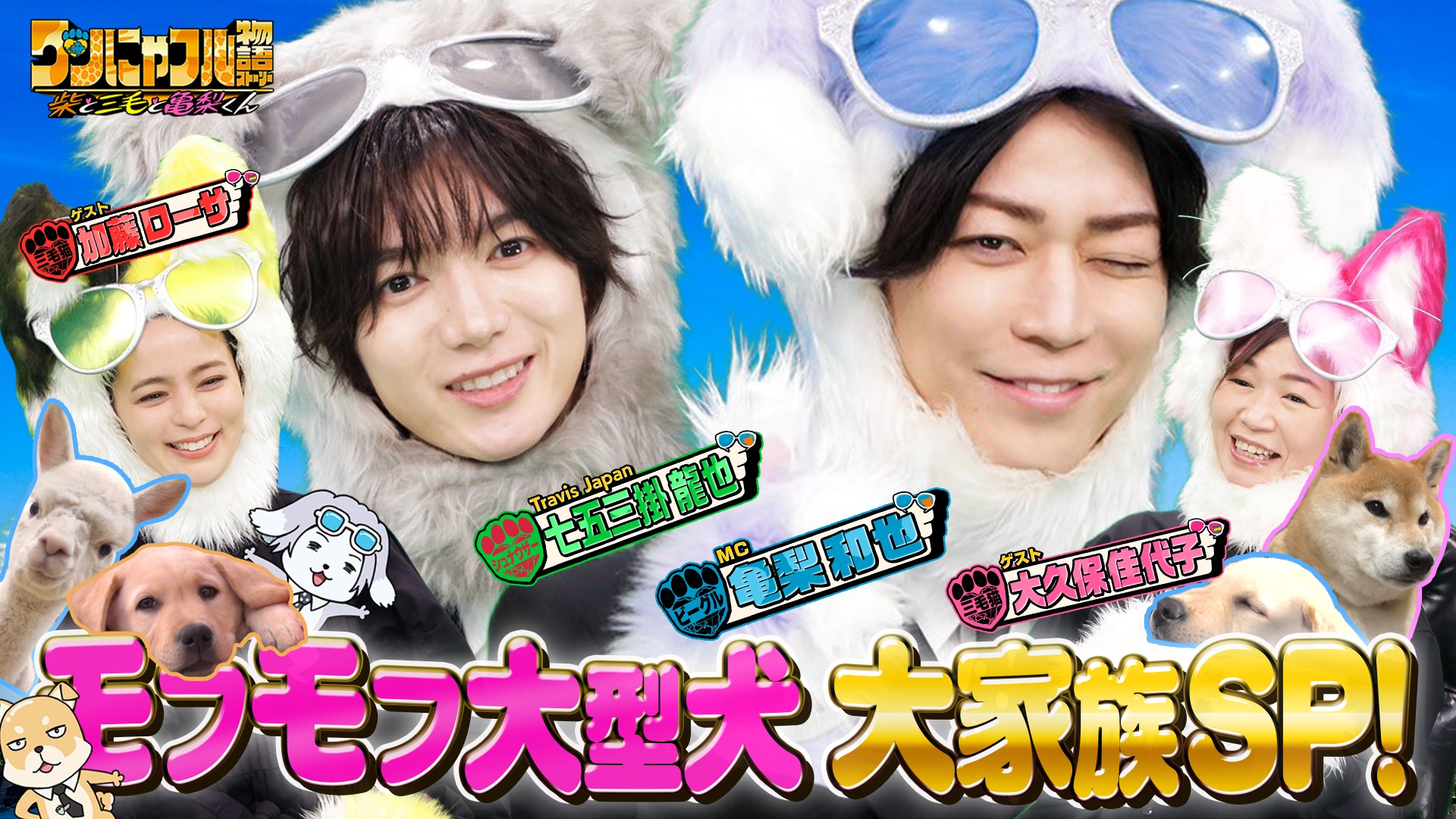 MC：亀梨和也！モフモフ！大型プードル大家族＆自宅アルパカ10頭夫婦