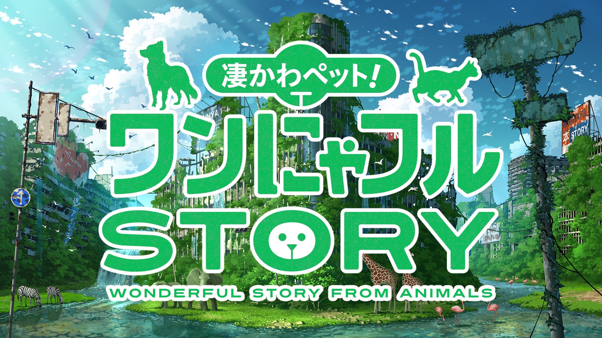 凄かわペット!ワンにゃフルSTORY
