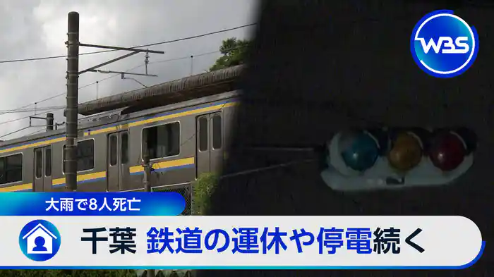 千葉大雨で被害多数…車内閉じ込めどう防ぐ▼消費税減税で財源は?