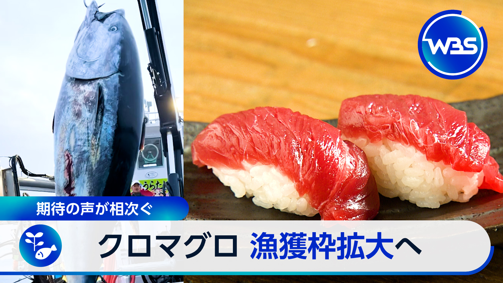 ▼マグロ漁獲枠拡大で恩恵は▼千葉、冠水車両への対応本格化