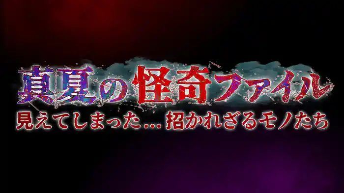 真夏の怪奇ファイル　見えてしまった…招かれざるモノたち