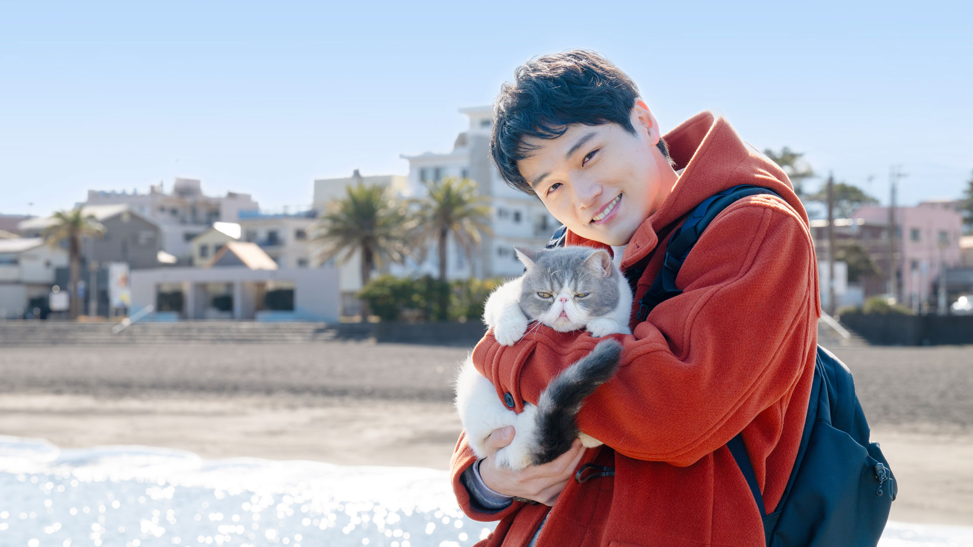旅と僕と猫(国内ドラマ / 2026) - 動画配信 | U-NEXT 31日間無料トライアル